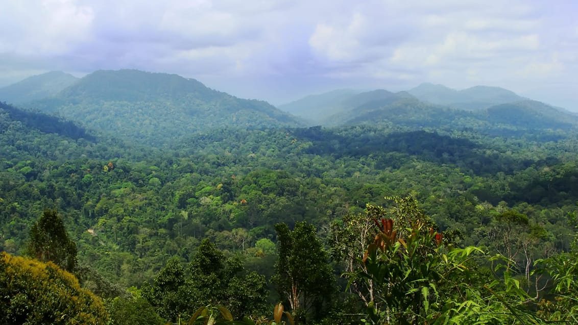Merapoh, Taman Negara