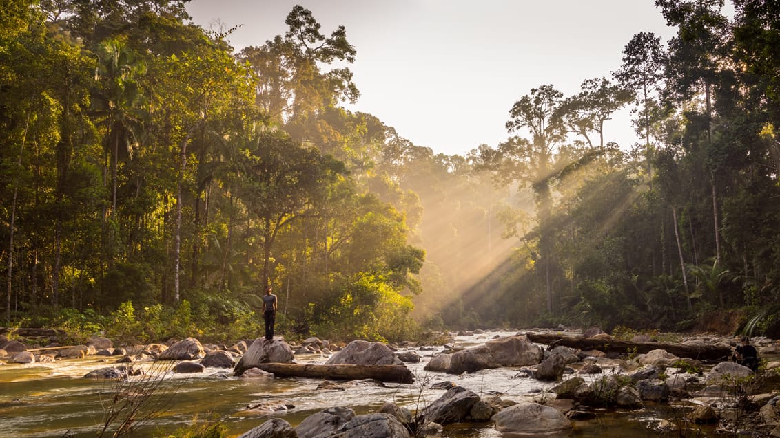 Merapoh, Taman Negara
