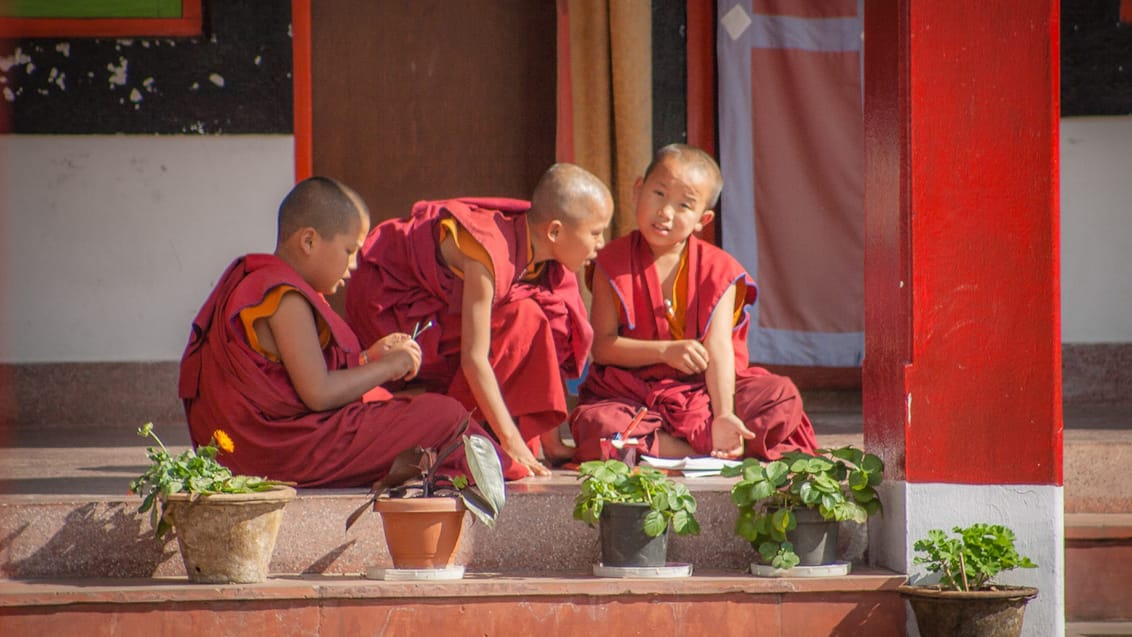 Unge munke foran kloster i Sikkim.