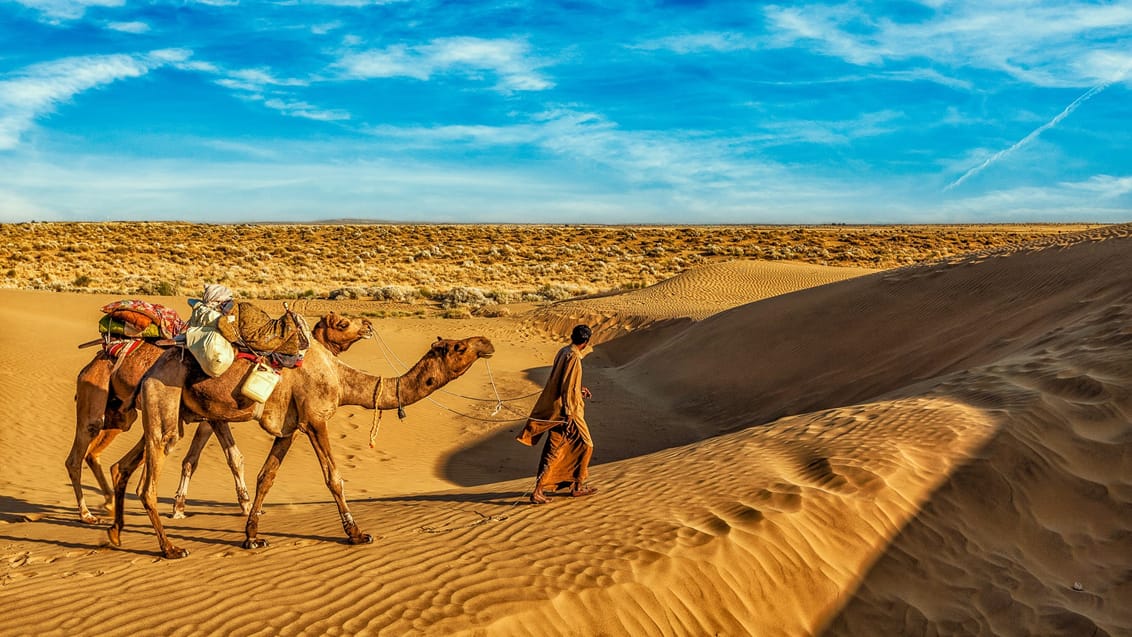 Oplev ørkenens vidder undervejs på rejsen i Rajasthan i Indien