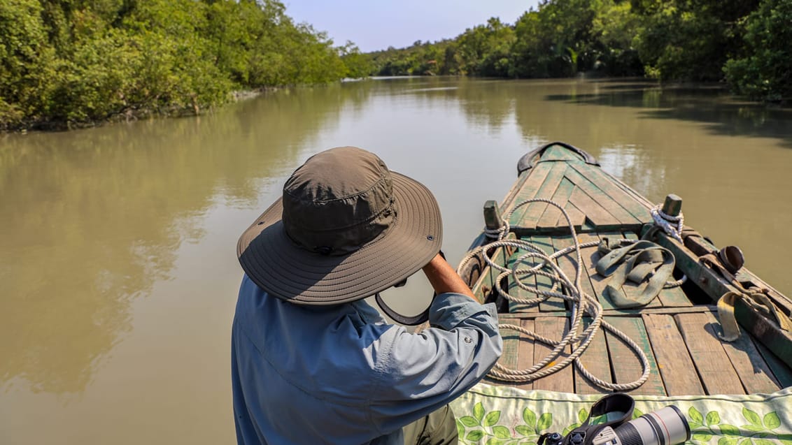 Bådsafari gennem Sundarbans’ stille vandveje.