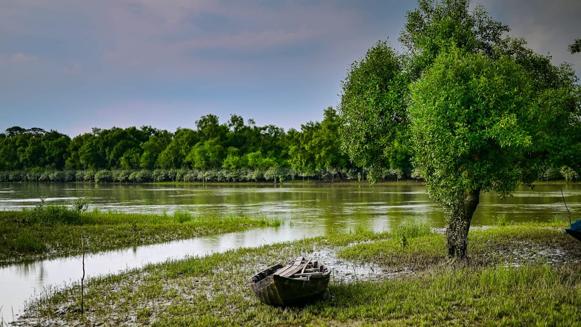 Mangroveskov og stille vandveje i Sundarbans