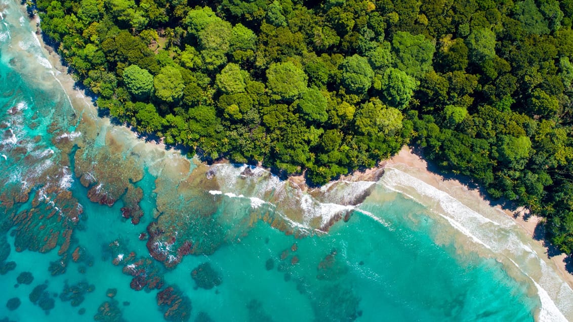 Caribiske kyst i Costa Rica