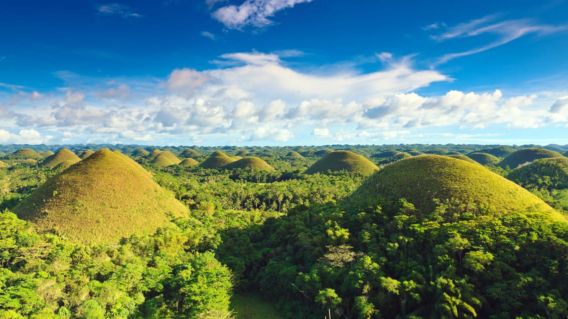 Chocolate Hills