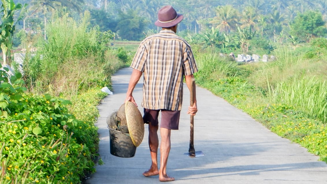 Lokalt landliv, Java