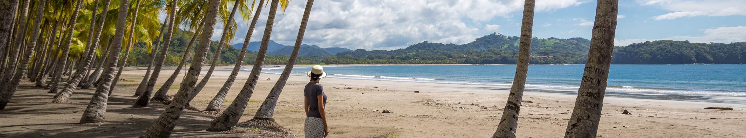 Strandliv på Nicoya-halvøen, Costa Rica