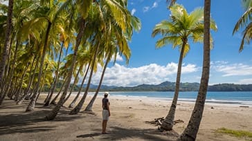 Strandliv på Nicoya-halvøen, Costa Rica