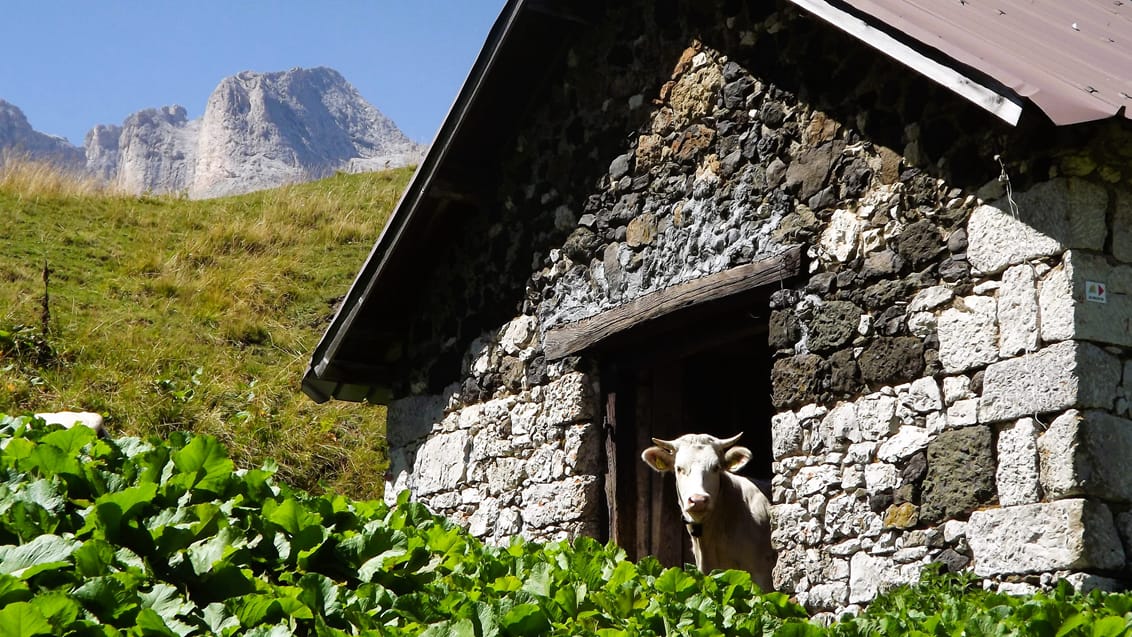 Trekking fra hytte til hytte i Dolomitterne
