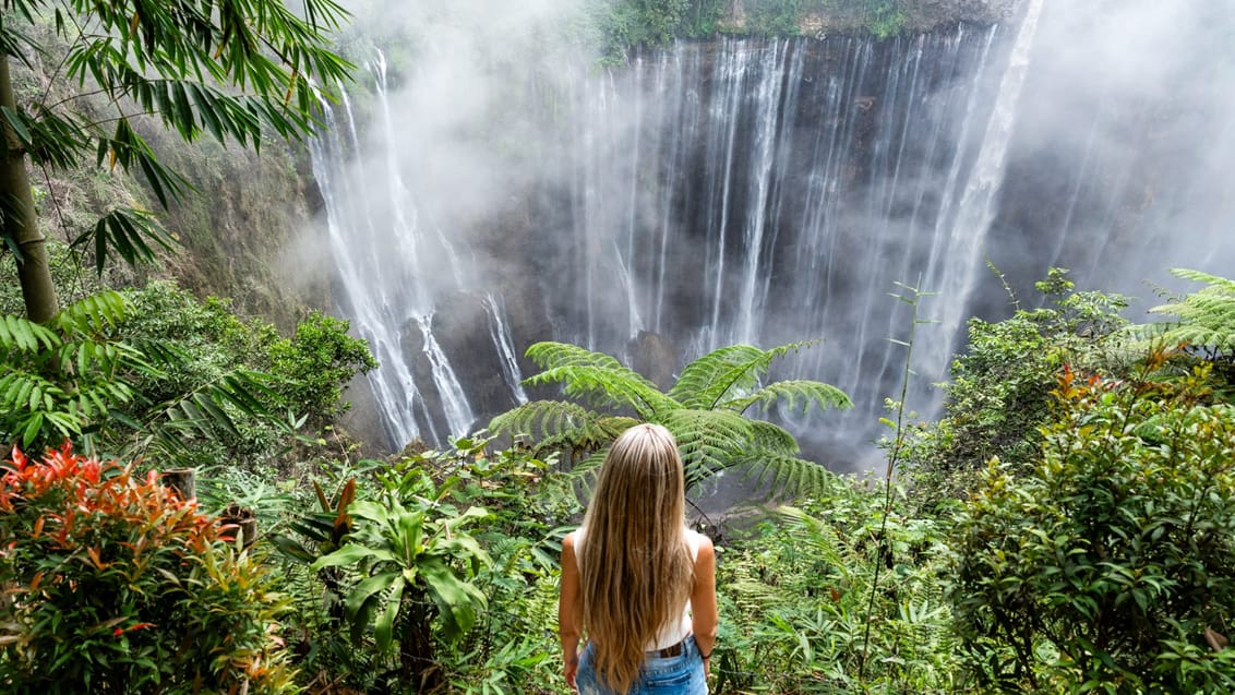Tumpak Sewu vandfald, Java