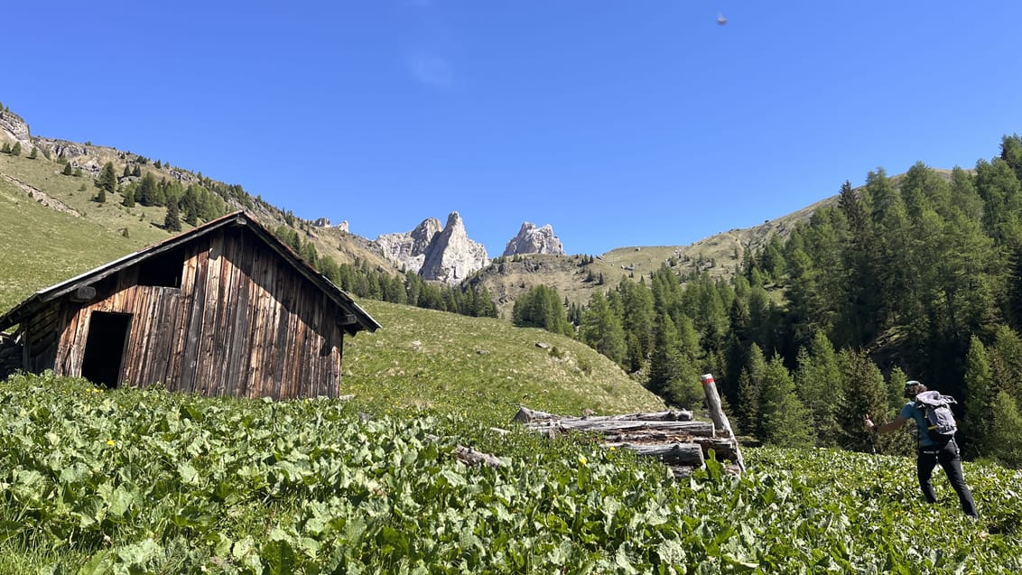 Vandring i Dolomitterne fra autentisk bjergbase, Mondeval