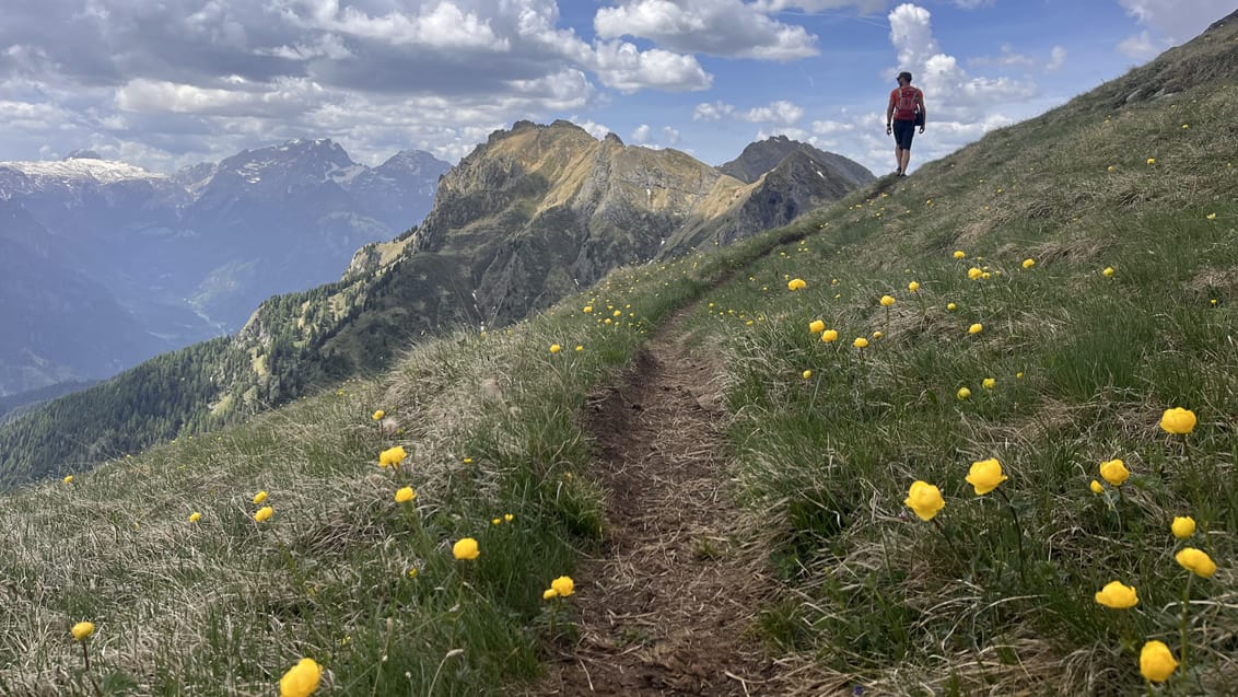 Vandring i Dolomitterne fra autentisk bjergbase, Sasso Bianco