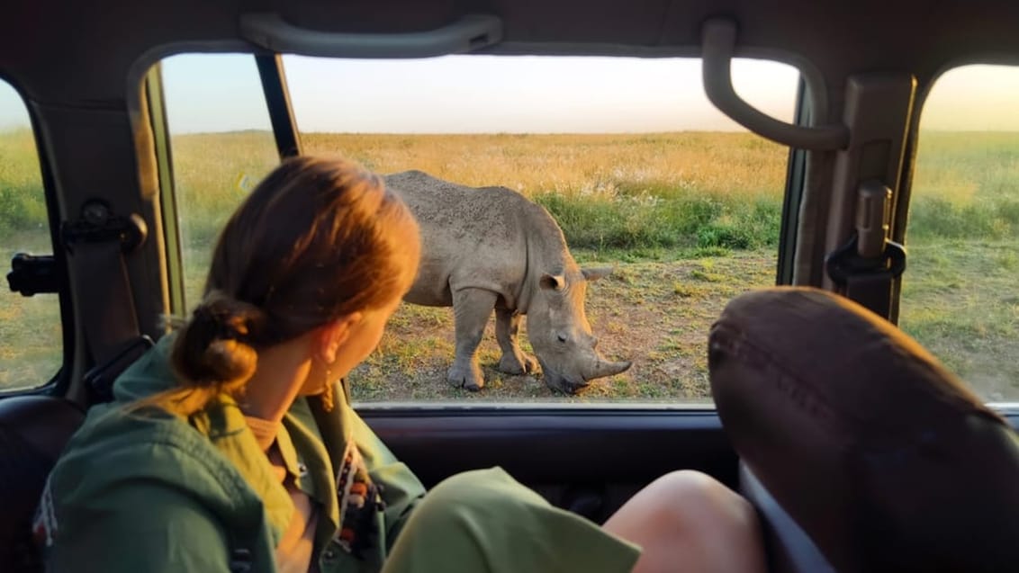 Safarikørsel Tarangire National Park og Ngorongoro Crater