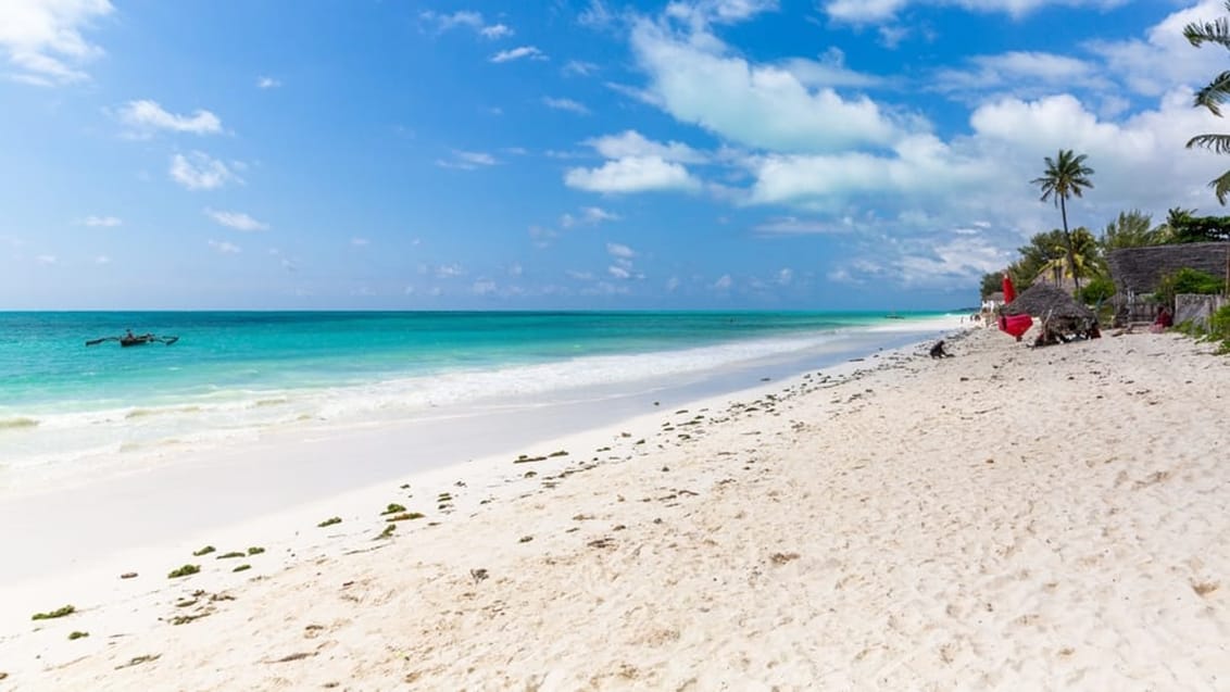 Smuk strand på Zanzibar