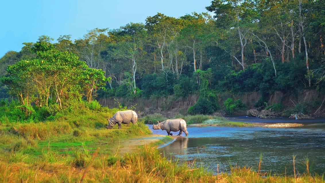 Chitwan, Nepal