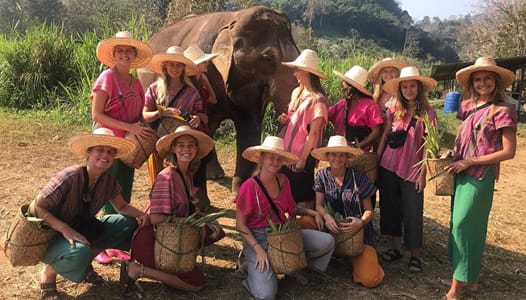 Elefant Sanctuary - gruppe