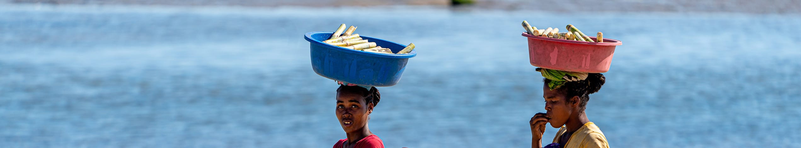 Madagaskar højdepunkter og strandferie i Mauritius