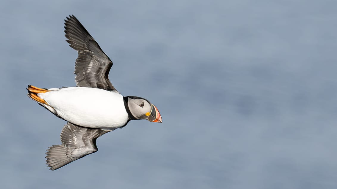 Tag med Jysk Rejsebureau på eventyr til Svalbard