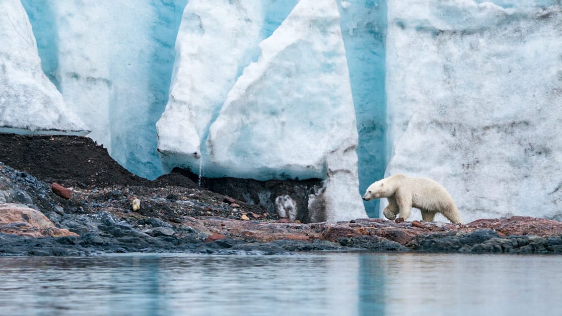 Tag med Jysk Rejsebureau på eventyr til Svalbard