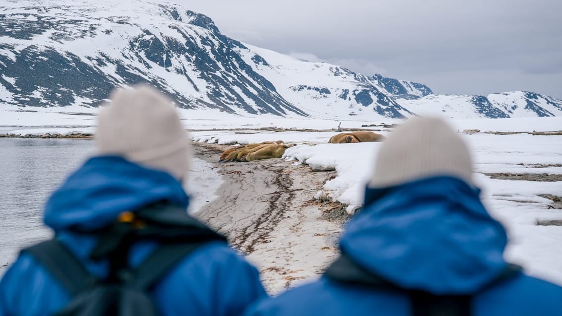 Tag med Jysk Rejsebureau på eventyr til Svalbard