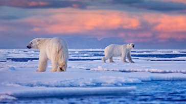 Svalbard Rundt paa ekspeditionstogt