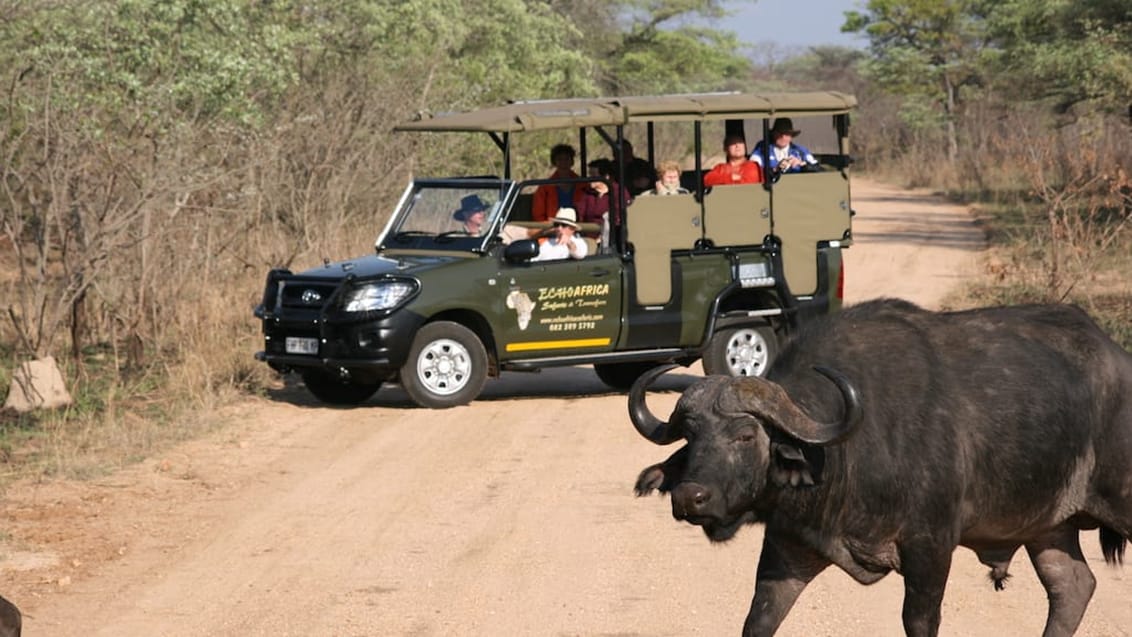 Game Drive