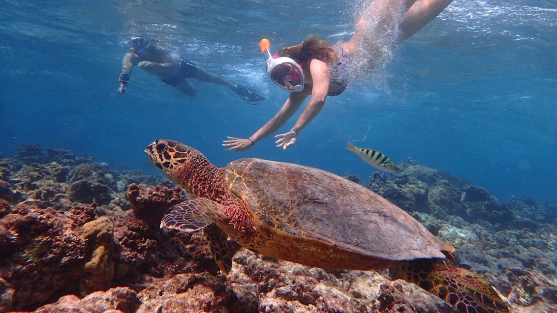 Maldiverne Snorkling