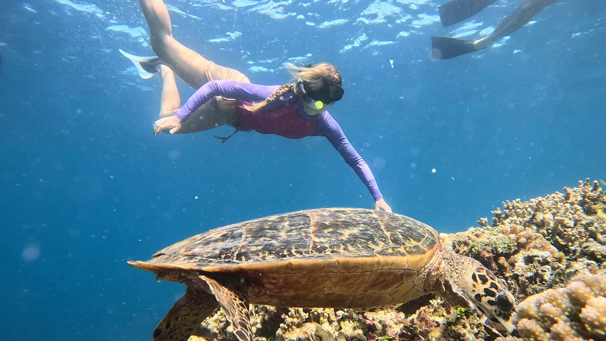 Maldiverne Snorkling