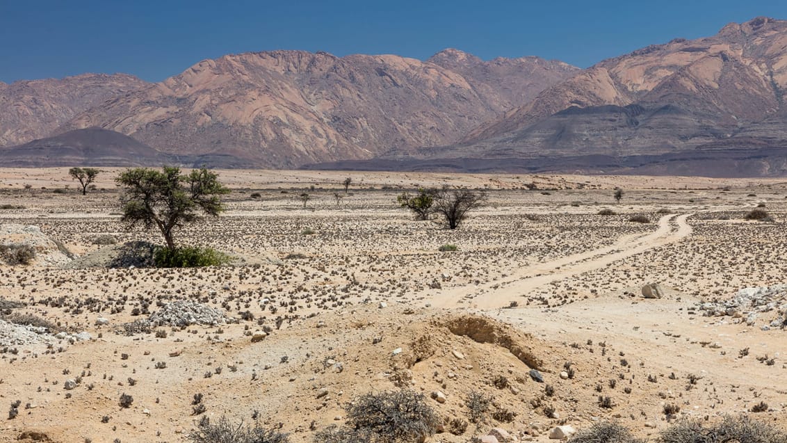 Smukke og barske Damaraland i Namibia