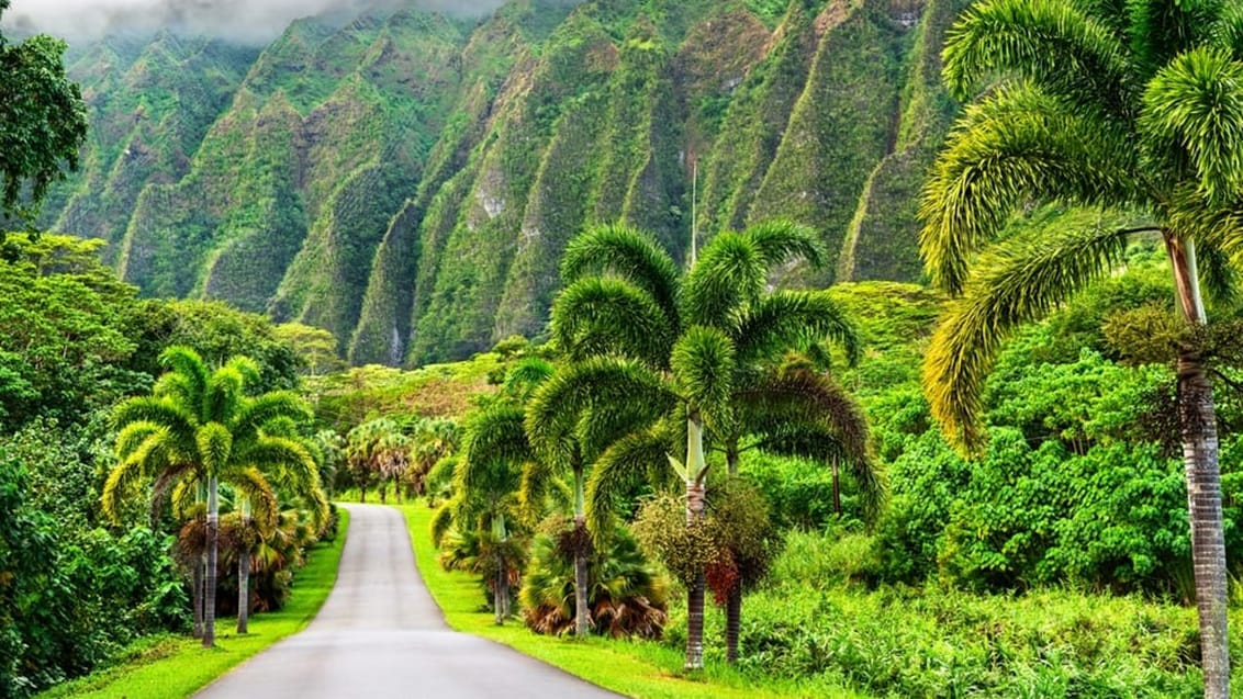 Det Vestlige Canada og badeferie på Hawaii