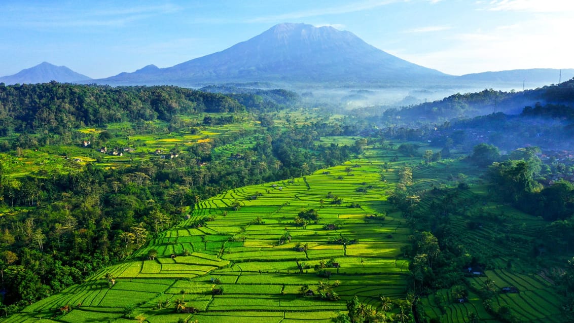 Rismarker i Sidemen, Bali