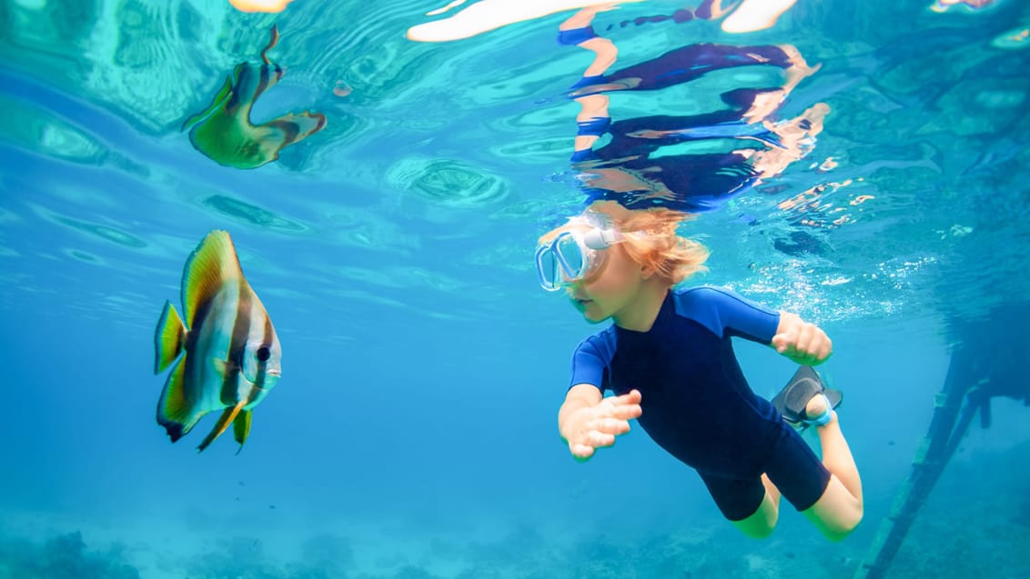 Snorkling ved Balis rev, Indonesien